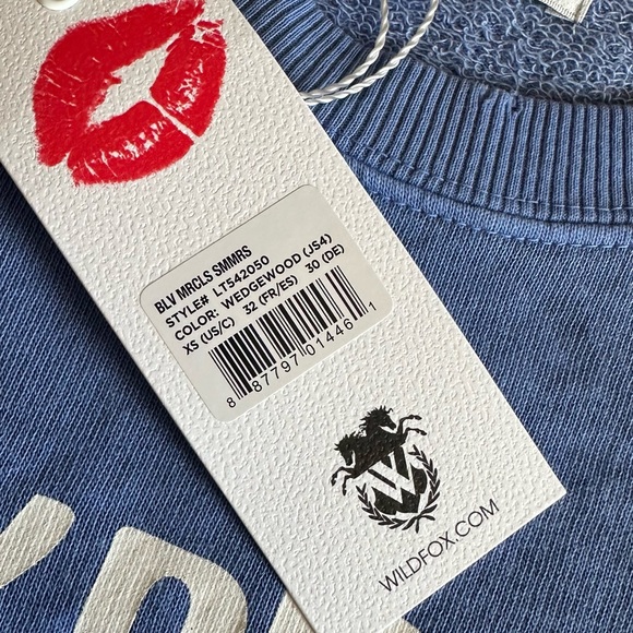 Soft blue WILDFOX Sweatshirt - Picture 7 of 9